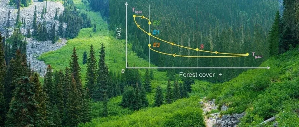 SUSTech Environmental Science Zeng team study on boreal forest resilience source image